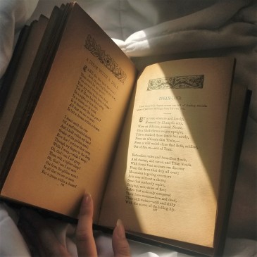 The fingers of a woman opening an old book as the sun shines on its pages.